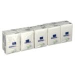 Stérilux Mouchoirs Blanc Format Pocket 10 étuis de 10 mouchoirs