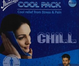 FLAMINGO HC-1004 Pack froid